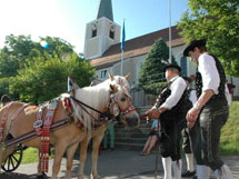 Pfingstritt 2014 - Haflinger Oberpfalz